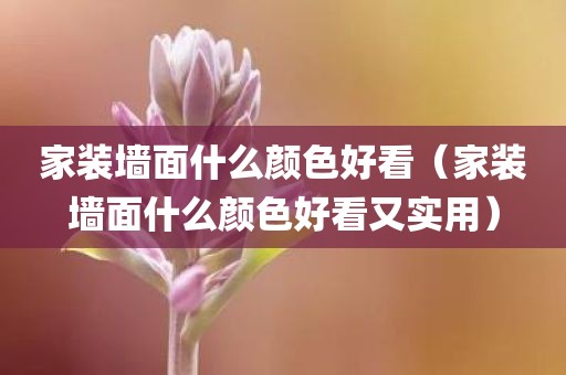 家装墙面什么颜色好看（家装墙面什么颜色好看又实用）