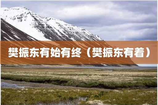樊振东有始有终（樊振东有着）