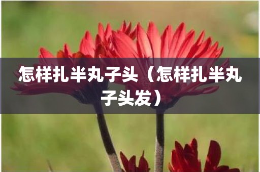 怎样扎半丸子头（怎样扎半丸子头发）