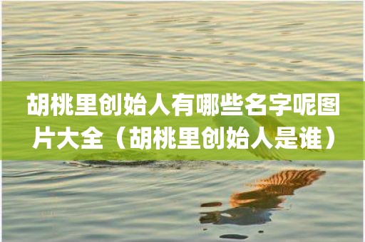 胡桃里创始人有哪些名字呢图片大全（胡桃里创始人是谁）