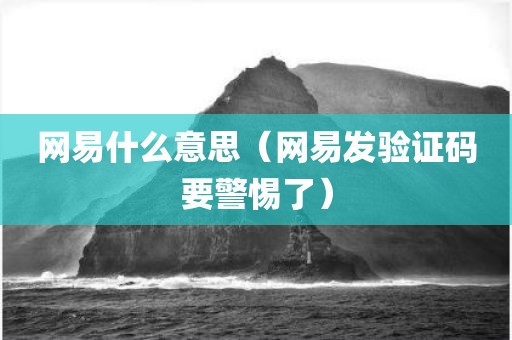 网易什么意思（网易发验证码要警惕了）