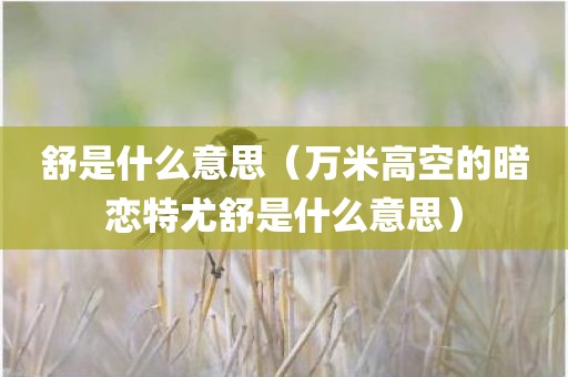 舒是什么意思（万米高空的暗恋特尤舒是什么意思）
