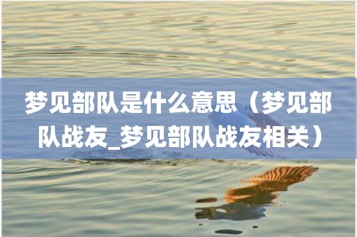 梦见部队是什么意思（梦见部队战友_梦见部队战友相关）