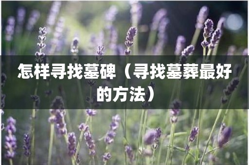 怎样寻找墓碑（寻找墓葬最好的方法）