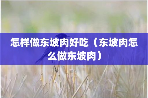 怎样做东坡肉好吃（东坡肉怎么做东坡肉）