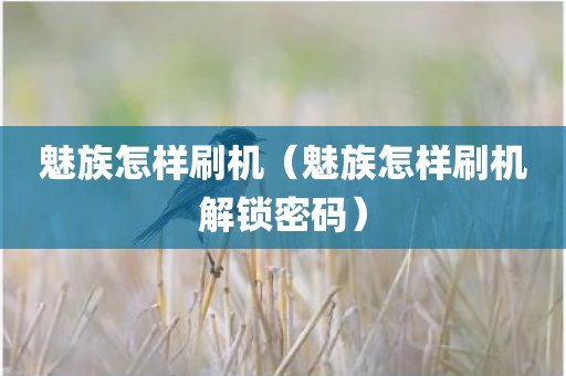 魅族怎样刷机（魅族怎样刷机解锁密码）