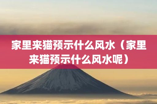 家里来猫预示什么风水（家里来猫预示什么风水呢）