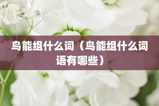 鸟能组什么词（鸟能组什么词语有哪些）