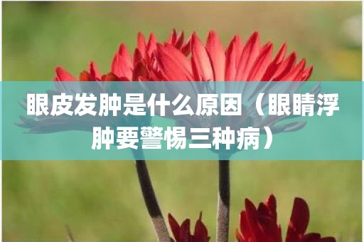 眼皮发肿是什么原因（眼睛浮肿要警惕三种病）