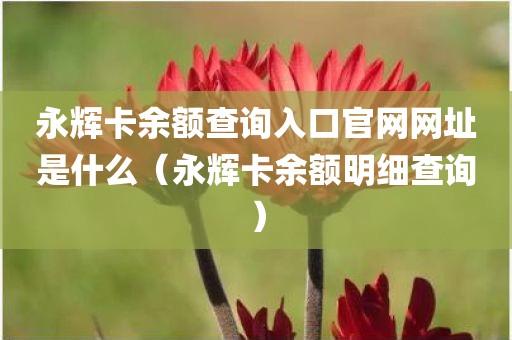 永辉卡余额查询入口官网网址是什么（永辉卡余额明细查询）