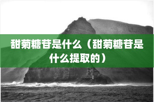 甜菊糖苷是什么（甜菊糖苷是什么提取的）