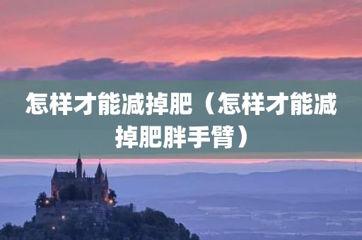 怎样才能减掉肥（怎样才能减掉肥胖手臂）