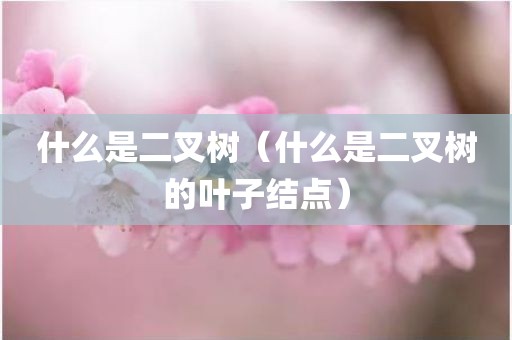 什么是二叉树（什么是二叉树的叶子结点）