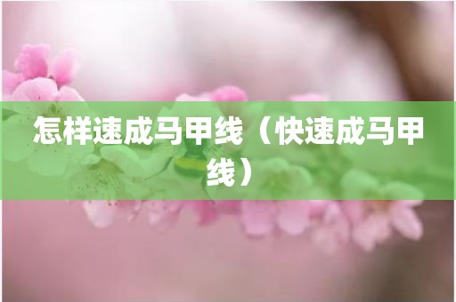 怎样速成马甲线（快速成马甲线）