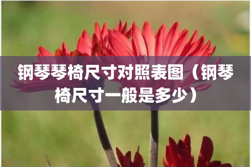 钢琴琴椅尺寸对照表图（钢琴椅尺寸一般是多少）