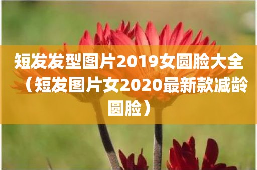 短发发型图片2019女圆脸大全(短发图片女2020最新款减龄圆脸)