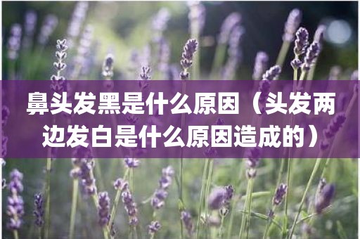 鼻头发黑是什么原因（头发两边发白是什么原因造成的）