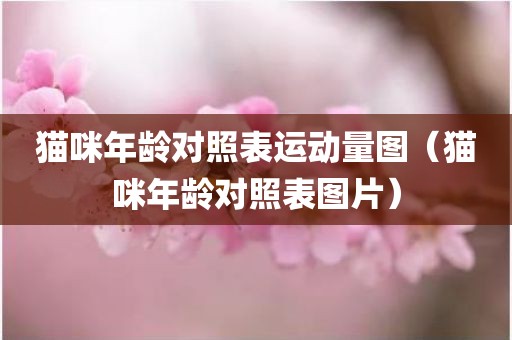 猫咪年龄对照表运动量图（猫咪年龄对照表图片）