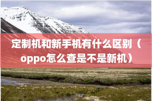 定制机和新手机有什么区别（oppo怎么查是不是新机）