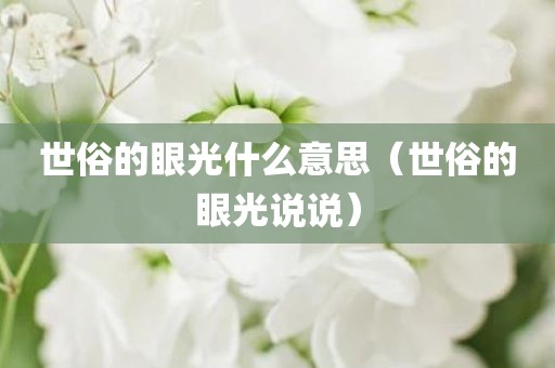世俗的眼光什么意思(世俗的眼光说说) - 图小雯知识