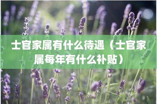 士官家属有什么待遇（士官家属每年有什么补贴）