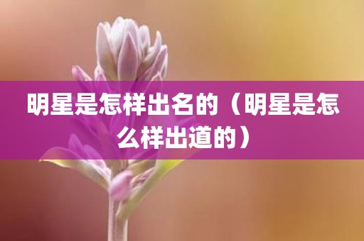 明星是怎样出名的（明星是怎么样出道的）