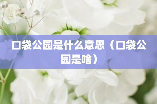 口袋公园是什么意思（口袋公园是啥）