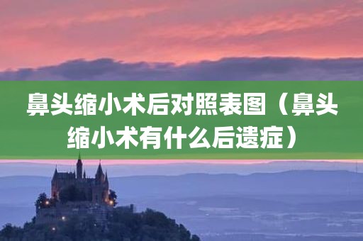 鼻头缩小术后对照表图（鼻头缩小术有什么后遗症）
