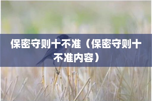 保密守则十不准（保密守则十不准内容）