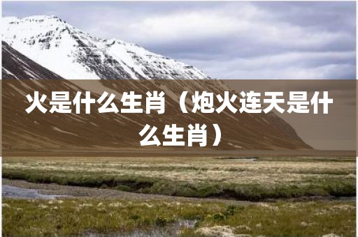 火是什么生肖（炮火连天是什么生肖）