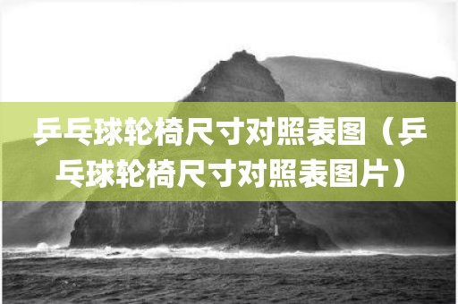 乒乓球轮椅尺寸对照表图（乒乓球轮椅尺寸对照表图片）
