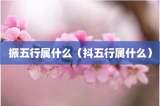 振五行属什么（抖五行属什么）