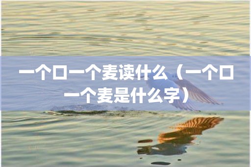 一个口一个麦读什么（一个口一个麦是什么字）