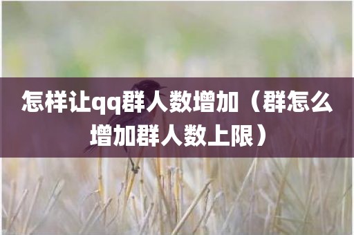 怎样让qq群人数增加（群怎么增加群人数上限）
