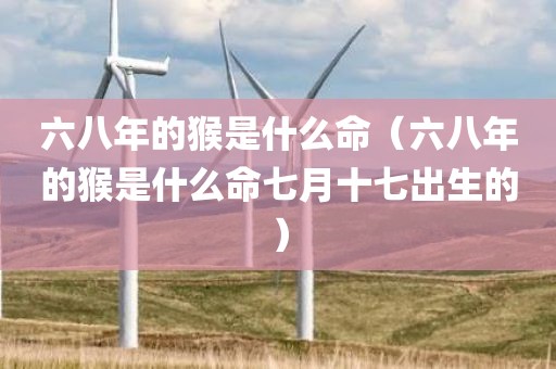 六八年的猴是什么命（六八年的猴是什么命七月十七出生的）