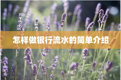 怎样做银行流水的简单介绍
