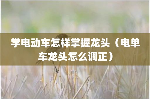 学电动车怎样掌握龙头（电单车龙头怎么调正）