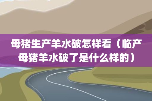母猪生产羊水破怎样看（临产母猪羊水破了是什么样的）
