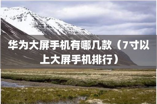 华为大屏手机有哪几款（7寸以上大屏手机排行）