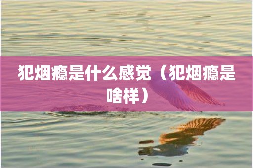 犯烟瘾是什么感觉（犯烟瘾是啥样）