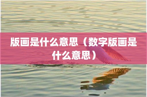 版画是什么意思(数字版画是什么意思)