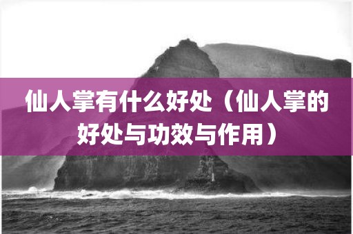 仙人掌有什么好处（仙人掌的好处与功效与作用）