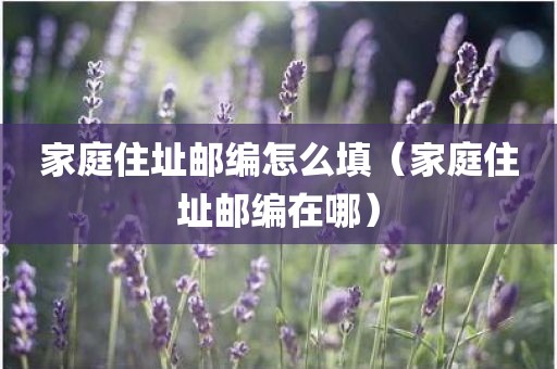 家庭住址邮编怎么填（家庭住址邮编在哪）