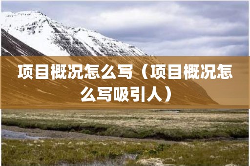 项目概况怎么写（项目概况怎么写吸引人）