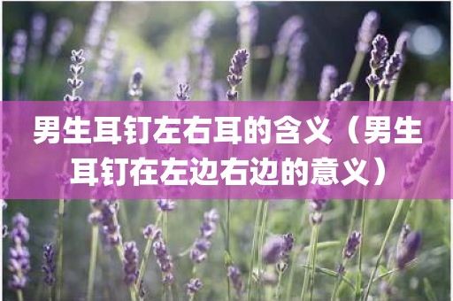 男生耳钉左右耳的含义（男生耳钉在左边右边的意义）