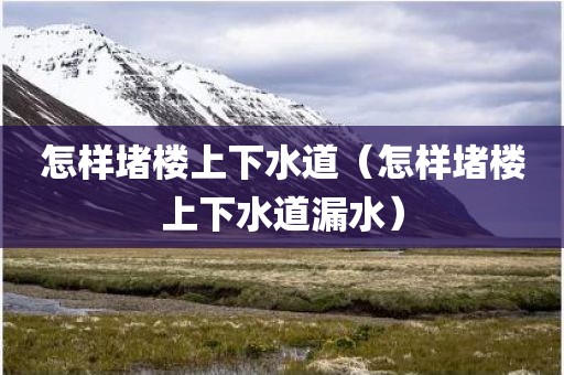 怎样堵楼上下水道（怎样堵楼上下水道漏水）