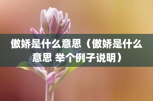 傲娇是什么意思（傲娇是什么意思 举个例子说明）