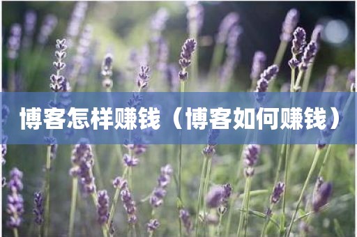 博客怎样赚钱（博客如何赚钱）