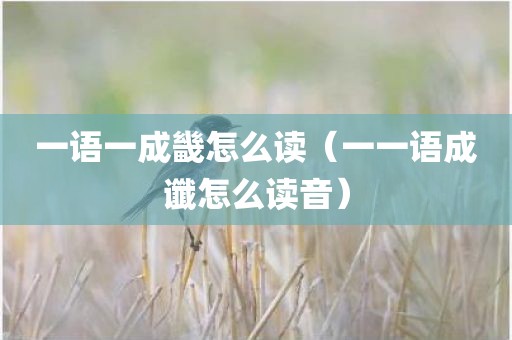 一语一成畿怎么读（一一语成谶怎么读音）