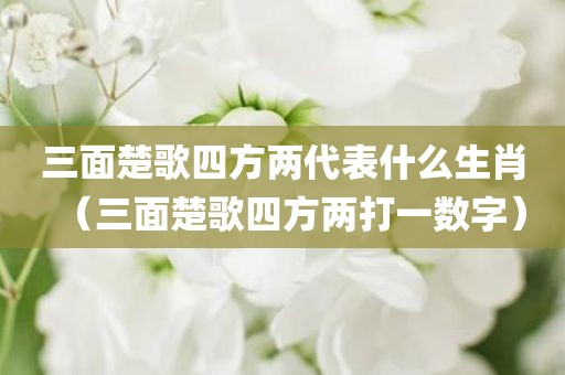 三面楚歌四方两代表什么生肖（三面楚歌四方两打一数字）